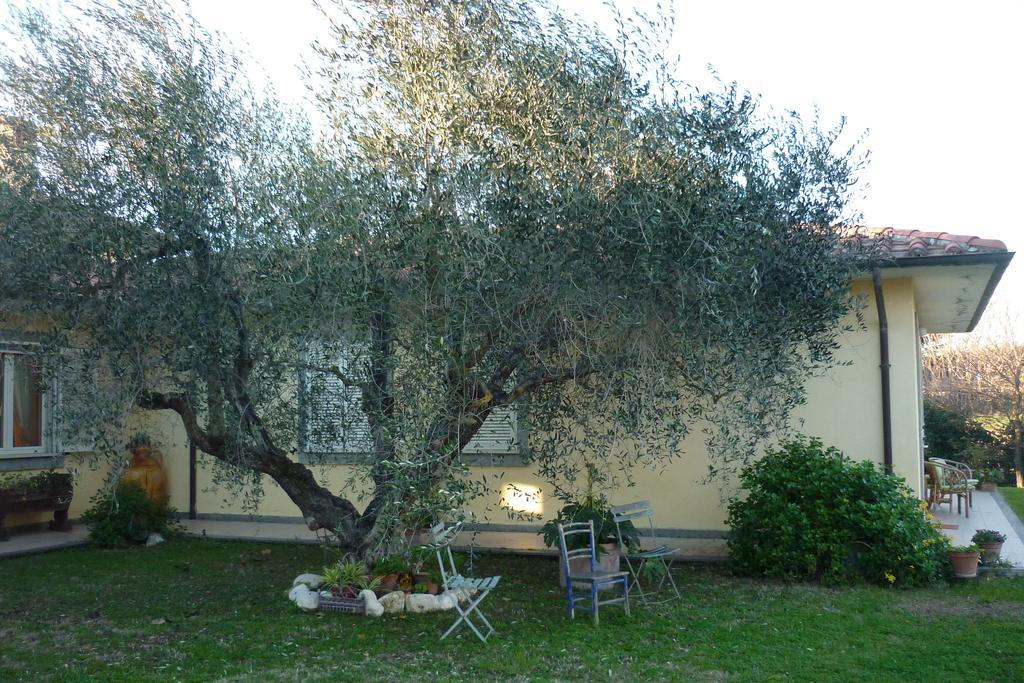 B&B Alle Terme Viterbo Exterior photo